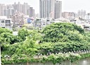 蘆竹區-油管路一段4房2廳，66.3坪