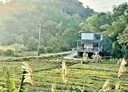 三灣鄉-土地，1795坪