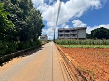 向上路五段✨135坪綠意空間..