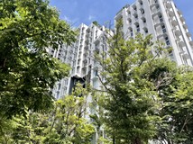 領航南路一段青埔高鐵捷運/..