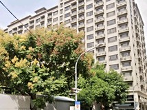 大連一街頂尖好房💯觀光夜市..