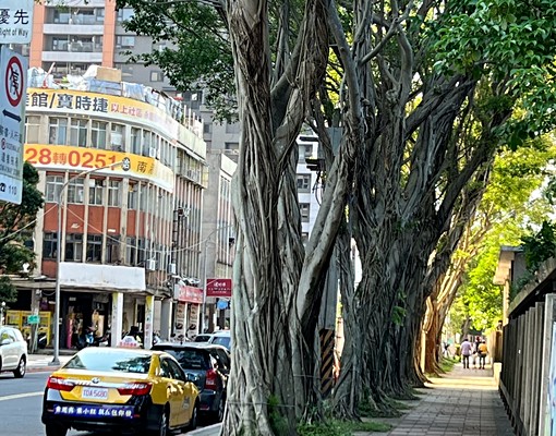 興中路X巷X號3F(二房二廳一衛23坪大空間!)仲介勿擾! - Image 6
