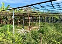 大寮區-山子頂段土地，340.6坪
