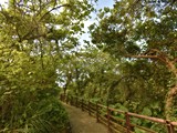 環境圖(7)