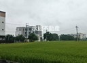 芬園鄉-土地，135坪