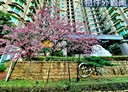 淡水區-新市一路一段3房2廳，56.6坪