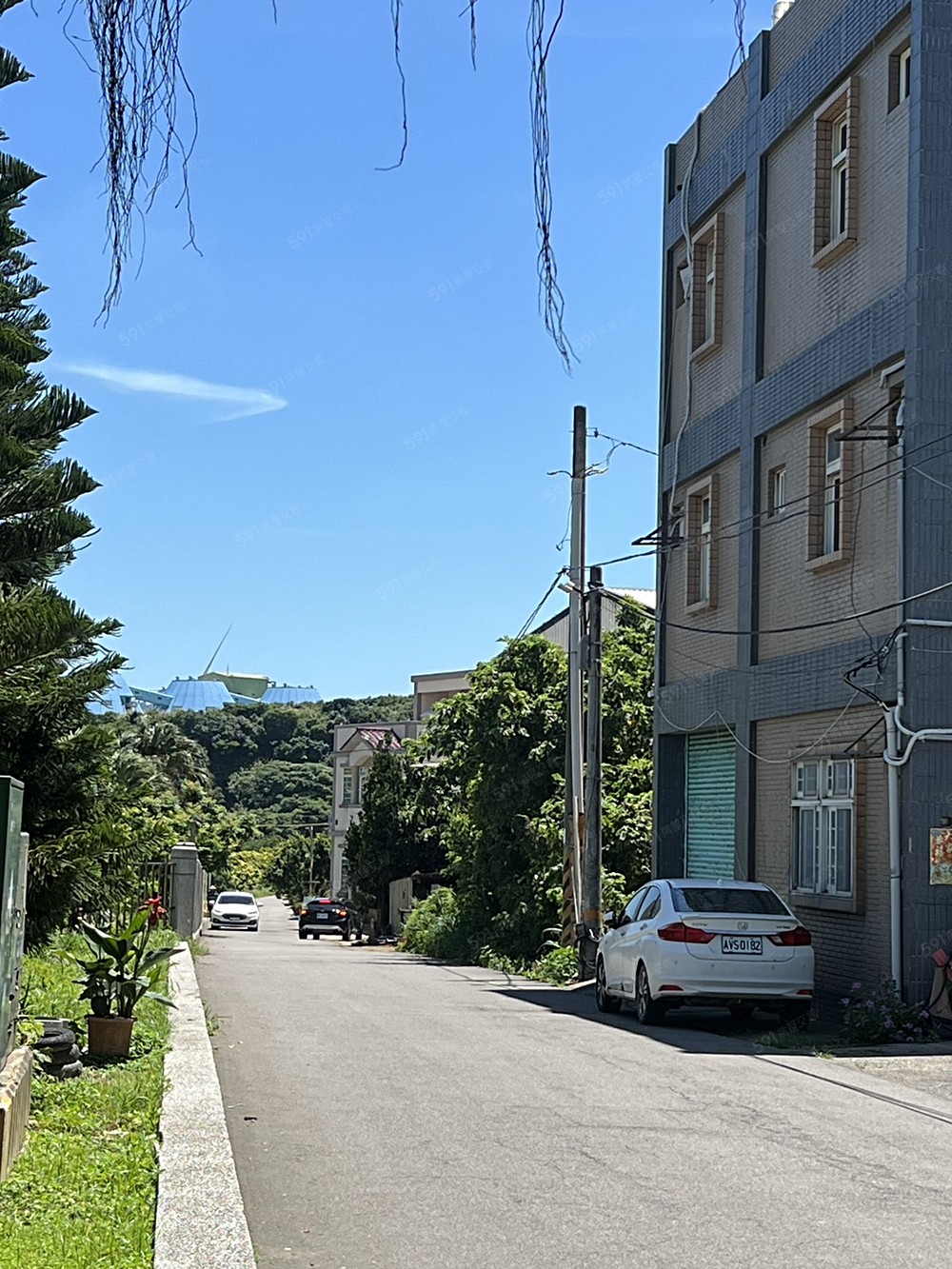 照片