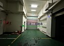 八德區-大湳交流道廠房，256坪