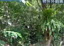 南庄鄉-土地，9139.1坪