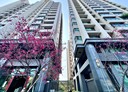 太平區-新興二街2房2廳，38.3坪