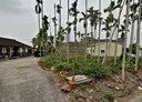 中埔鄉-隆恩段土地，130.7坪