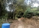 大寮區-土地，746.4坪