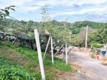 南平路722巷專~新埔近五色..