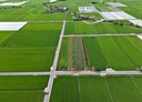 後壁區-土地，783.8坪