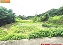 通霄鎮-五里牌段土地，599.6坪