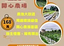 高樹鄉-土地，230.7坪