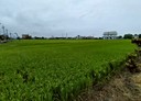 冬山鄉-土地，748.8坪