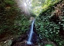 金山區-土地，15000坪