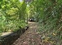 造橋鄉-桃坪土地，7407坪