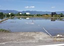 冬山鄉-土地，892.5坪