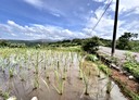 石門區-土地，1056.6坪