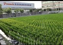 神岡區-土地，285.8坪
