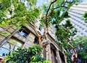 板橋區-中山路一段4房2廳，74.9坪