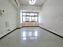 六家六街稀有高鐵特區"熱帶..