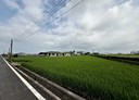 阿蓮區-土地，922坪