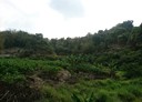 鳥松區-土地，3721.6坪