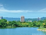 實景圖(4)
