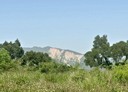 外埔區-土地，793.2坪