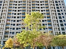 環中東路三段台中太平新光特..