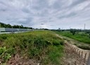 佳里區-麻佳路三段土地，400.5坪