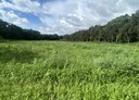 岡山區-土地，281.3坪