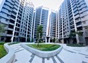 太平區-樹孝路3房2廳，41.6坪