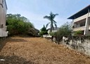 豐原區-土地，135.6坪