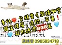 頭份市-武昌街1房1廳，27.8坪