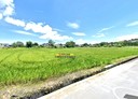 壽豐鄉-土地，1528.7坪