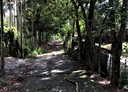 魚池鄉-投66土地，1520.6坪