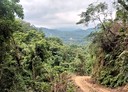 獅潭鄉-土地，3142坪