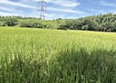 新屋區-石牌嶺段土地，939.9坪