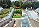 中壢區-三光路店面，226.5坪
