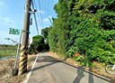 平鎮區-中庸段土地，265坪
