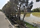 新屋區-土地，1343坪