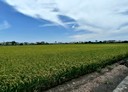 竹塘鄉-竹塘段土地，722.4坪