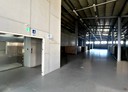 楊梅區-民隆路廠房，1239.6坪