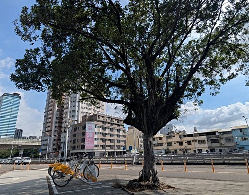 屋主自租/電梯大樓,大坪數,通風採光佳,中山醫學院/交通方便 - Image 9