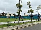 實景圖(8)