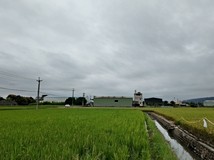 新光段【草屯新光段】角地雙..
